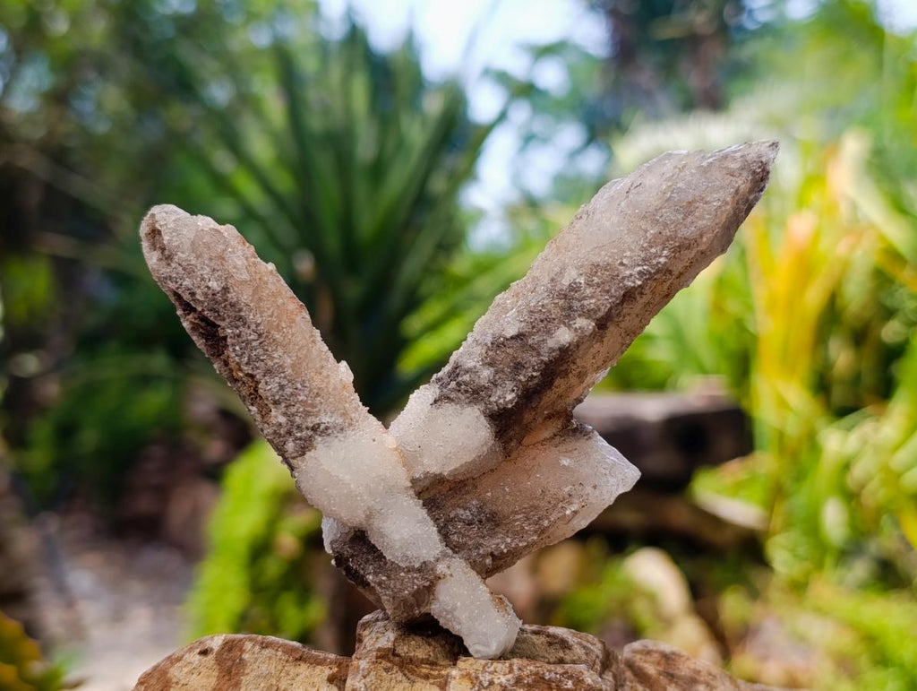 Natural Drusy Quartz Coated Spearhead Calcite Crystals x 12 From Albert's Mountain, Lesotho - Toprock Gemstones and Minerals 