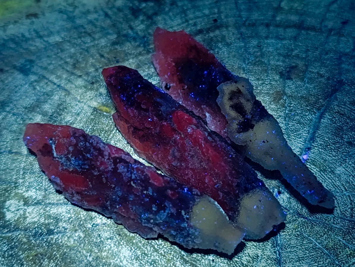 Natural Drusy Quartz Coated Spearhead Calcite Crystals x 12 From Albert's Mountain, Lesotho - Toprock Gemstones and Minerals 