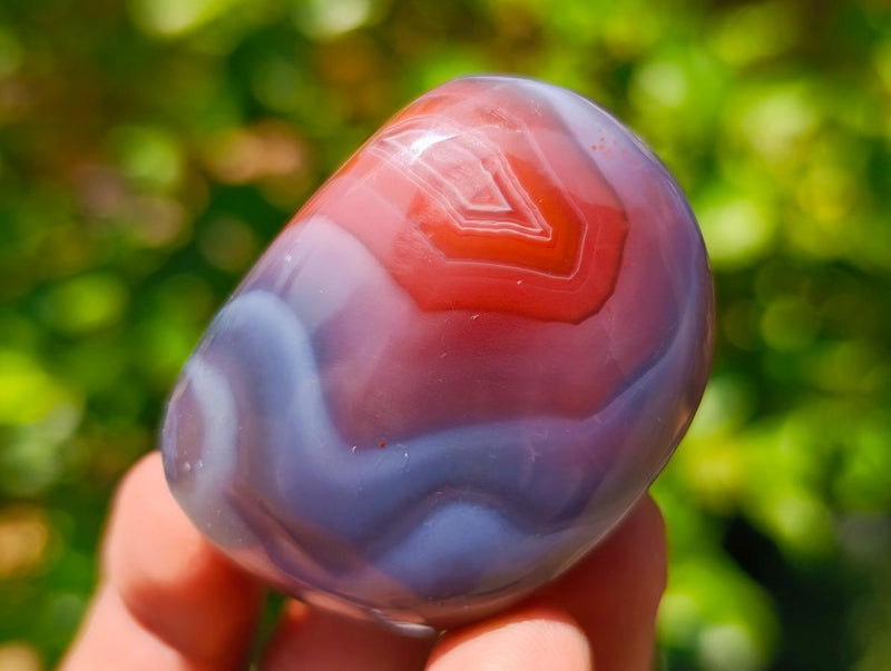Polished Red Shashe River Agate Galets x 20 From Shashe River, Zimbabwe - Toprock Gemstones and Minerals 