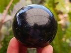 Polished Black Basalt Spheres x 12 From Madagascar - Toprock Gemstones and Minerals 