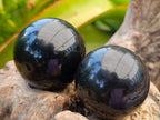 Polished Black Basalt Spheres x 12 From Madagascar - Toprock Gemstones and Minerals 