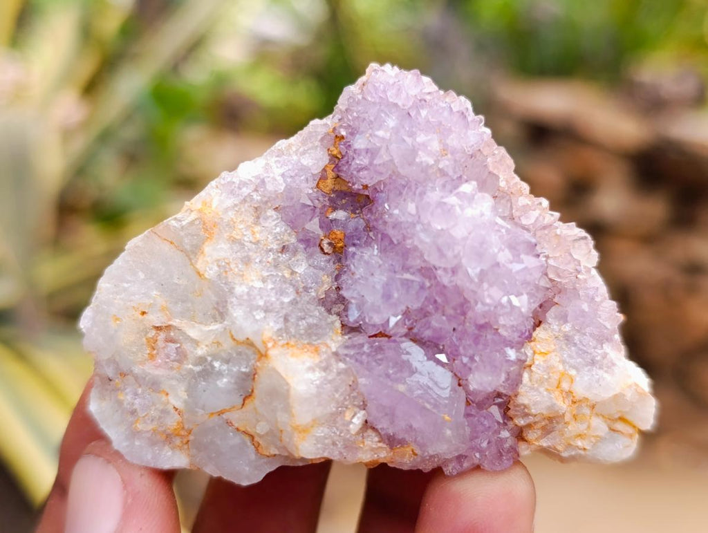 Natural Dark Purple Amethyst Quartz Crystal Plates x 35 From Boekenhouthoek, South Africa - Toprock Gemstones and Minerals 