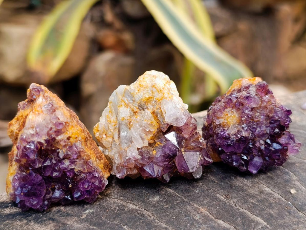 Natural Dark Purple Amethyst Quartz Crystal Plates x 35 From Boekenhouthoek, South Africa - Toprock Gemstones and Minerals 