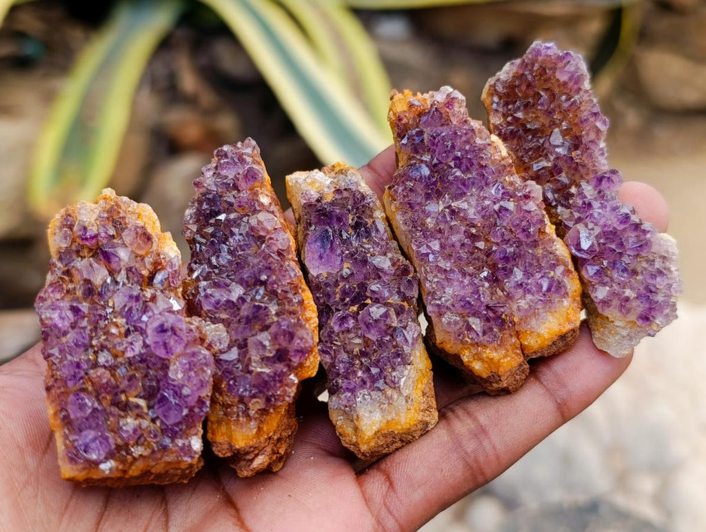 Natural Dark Purple Amethyst Quartz Crystal Plates x 35 From Boekenhouthoek, South Africa - Toprock Gemstones and Minerals 