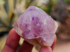 Natural Dark Purple Amethyst Quartz Crystal Plates x 35 From Boekenhouthoek, South Africa - Toprock Gemstones and Minerals 