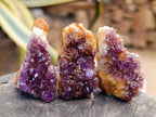 Natural Dark Purple Amethyst Quartz Crystal Plates x 35 From Boekenhouthoek, South Africa - Toprock Gemstones and Minerals 