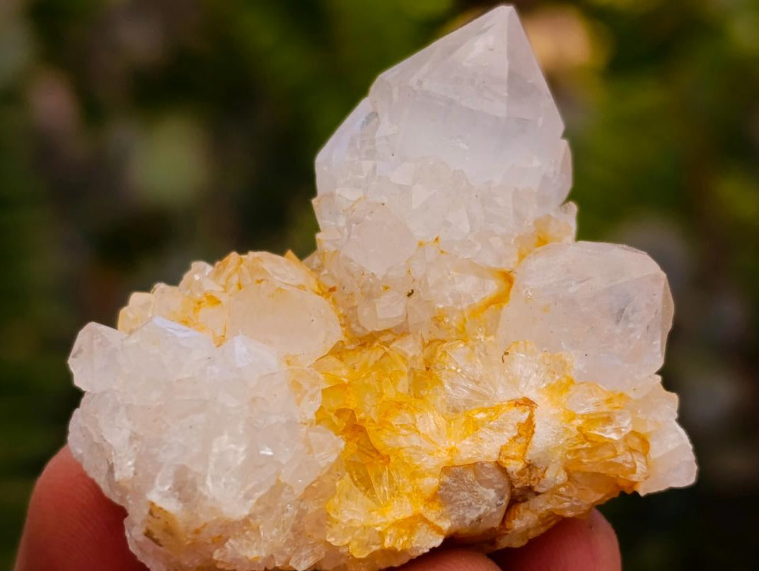 Natural White Spirit Clusters and Crystals x 63 From Boekenhouthoek, South Africa - Toprock Gemstones and Minerals 