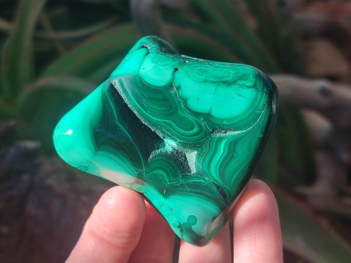 Polished Flower Banded Malachite Free Forms x 3 From Congo - Toprock Gemstones and Minerals 