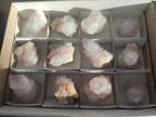 Natural Pale Lilac Cactus Flower Spirit Quartz Single Crystals x 12 From Boekenhouthoek, South Africa - Toprock Gemstones and Minerals 