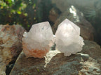 Natural Pale Lilac Cactus Flower Spirit Quartz Single Crystals x 12 From Boekenhouthoek, South Africa - Toprock Gemstones and Minerals 