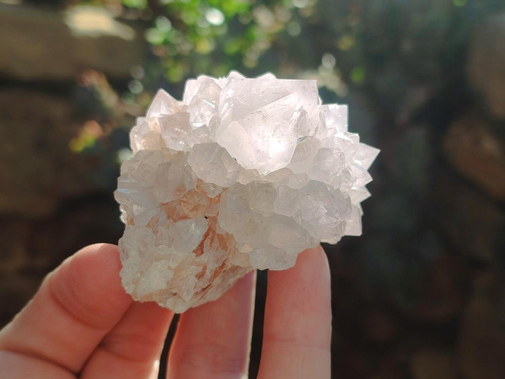 Natural Pale Lilac Cactus Flower Spirit Quartz Single Crystals x 12 From Boekenhouthoek, South Africa - Toprock Gemstones and Minerals 