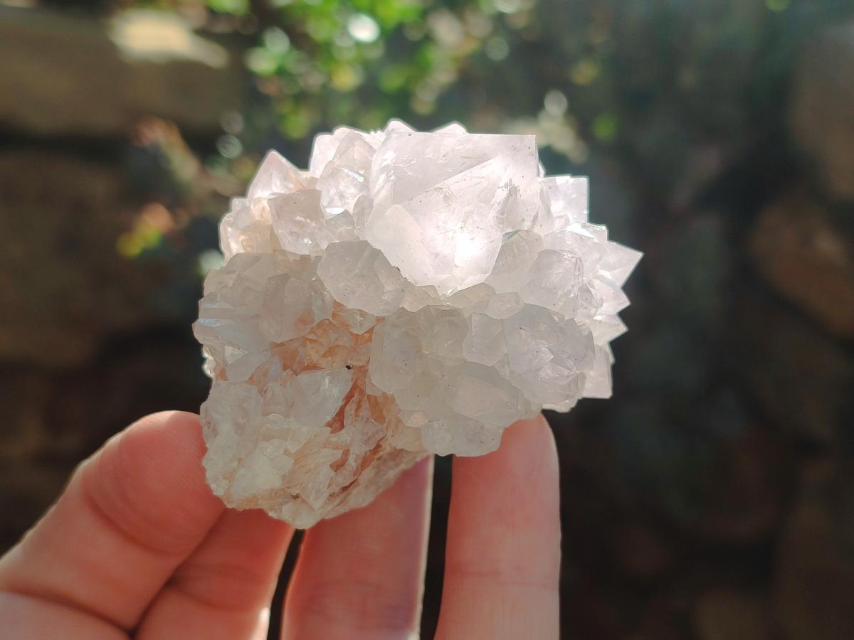 Natural Pale Lilac Cactus Flower Spirit Quartz Single Crystals x 12 From Boekenhouthoek, South Africa - Toprock Gemstones and Minerals 