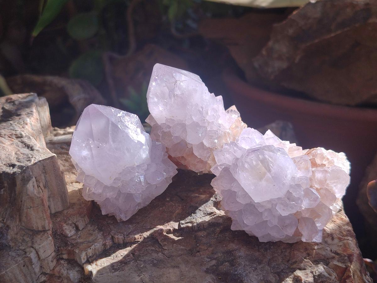 Natural Pale Lilac Cactus Flower Spirit Quartz Single Crystals x 12 From Boekenhouthoek, South Africa - Toprock Gemstones and Minerals 