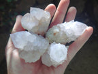 Natural Pale Lilac Cactus Flower Spirit Quartz Single Crystals x 12 From Boekenhouthoek, South Africa - Toprock Gemstones and Minerals 
