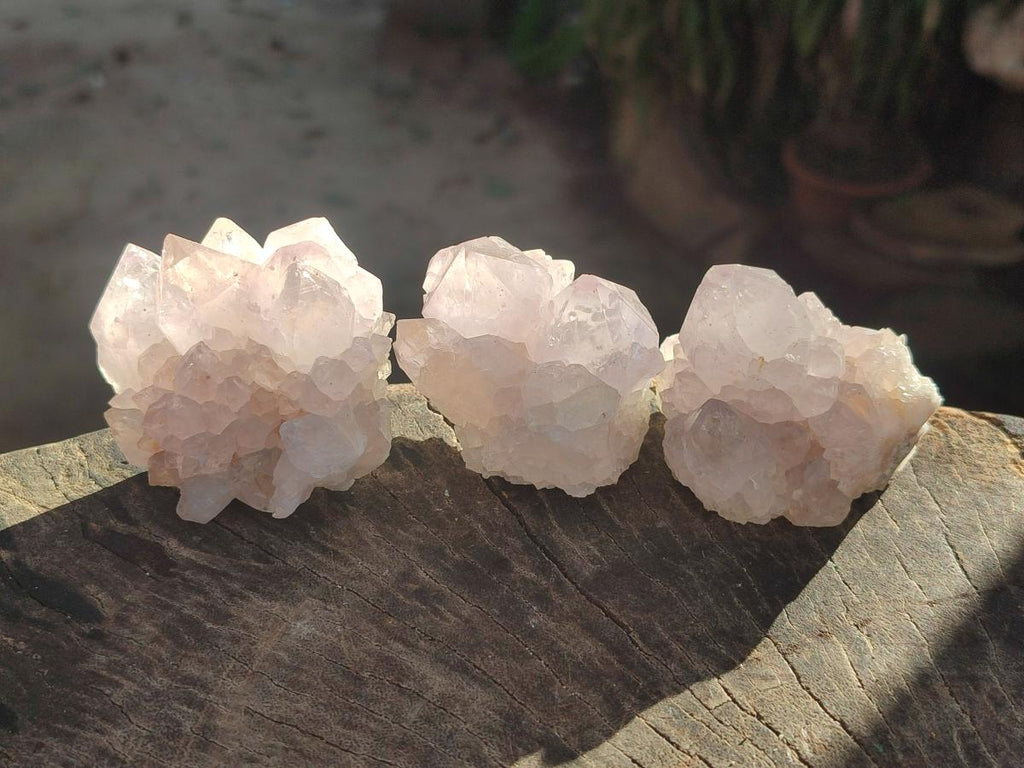 Natural Pale Lilac Cactus Flower Spirit Quartz Single Crystals x 12 From Boekenhouthoek, South Africa - Toprock Gemstones and Minerals 