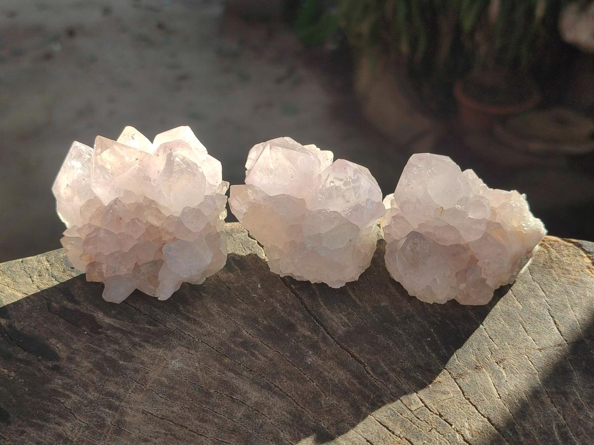 Natural Pale Lilac Cactus Flower Spirit Quartz Single Crystals x 12 From Boekenhouthoek, South Africa - Toprock Gemstones and Minerals 
