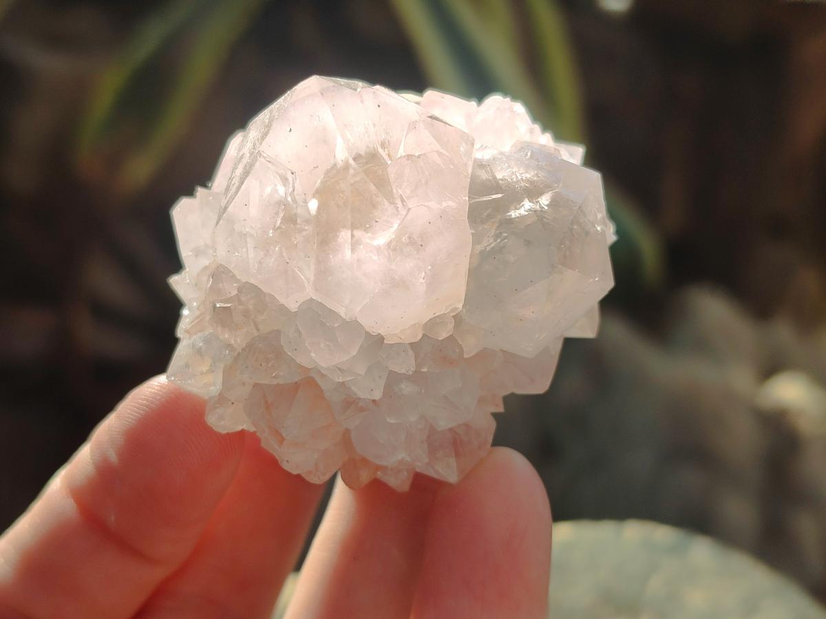 Natural Pale Lilac Cactus Flower Spirit Quartz Single Crystals x 12 From Boekenhouthoek, South Africa - Toprock Gemstones and Minerals 