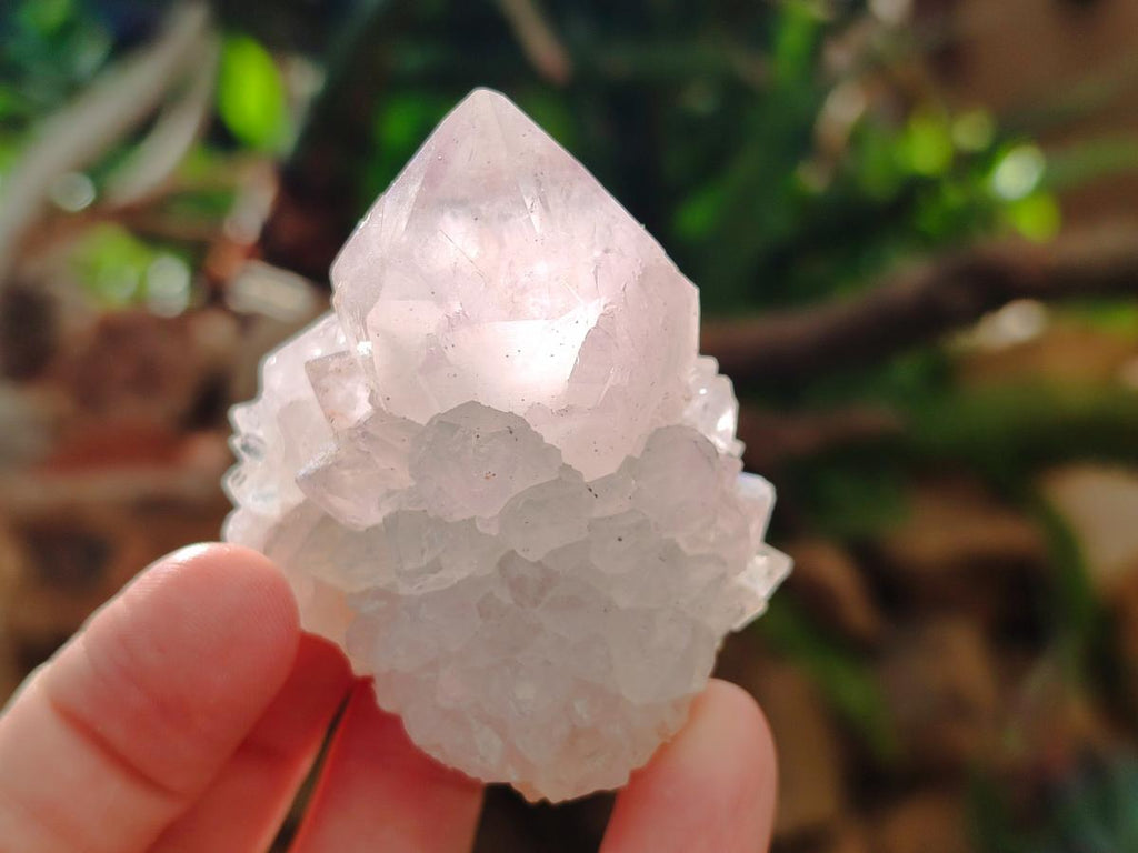 Natural Pale Lilac Cactus Flower Spirit Quartz Single Crystals x 12 From Boekenhouthoek, South Africa - Toprock Gemstones and Minerals 