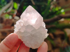 Natural Pale Lilac Cactus Flower Spirit Quartz Single Crystals x 12 From Boekenhouthoek, South Africa - Toprock Gemstones and Minerals 