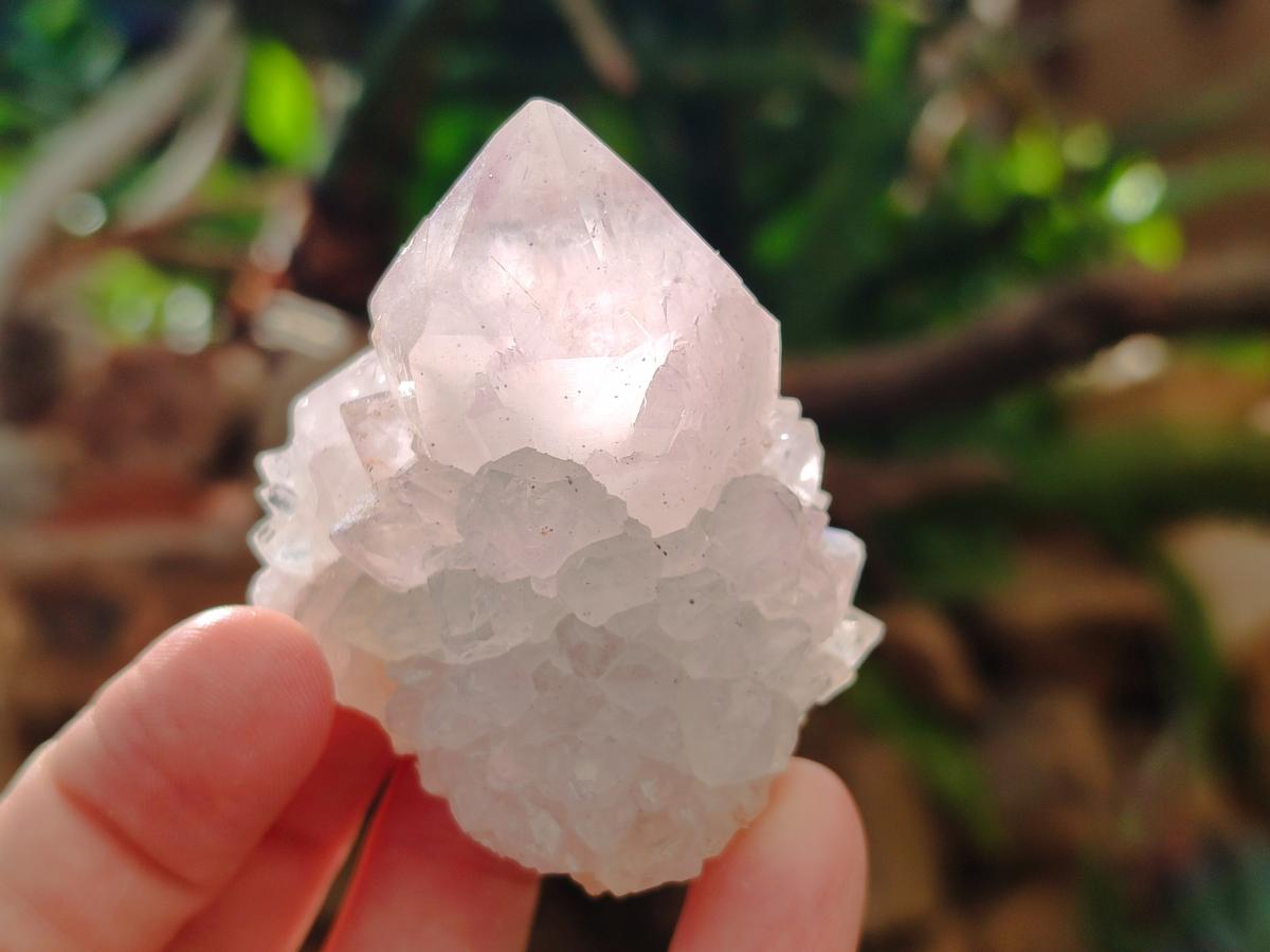 Natural Pale Lilac Cactus Flower Spirit Quartz Single Crystals x 12 From Boekenhouthoek, South Africa - Toprock Gemstones and Minerals 