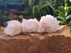Natural Pale Lilac Cactus Flower Spirit Quartz Single Crystals x 12 From Boekenhouthoek, South Africa - Toprock Gemstones and Minerals 