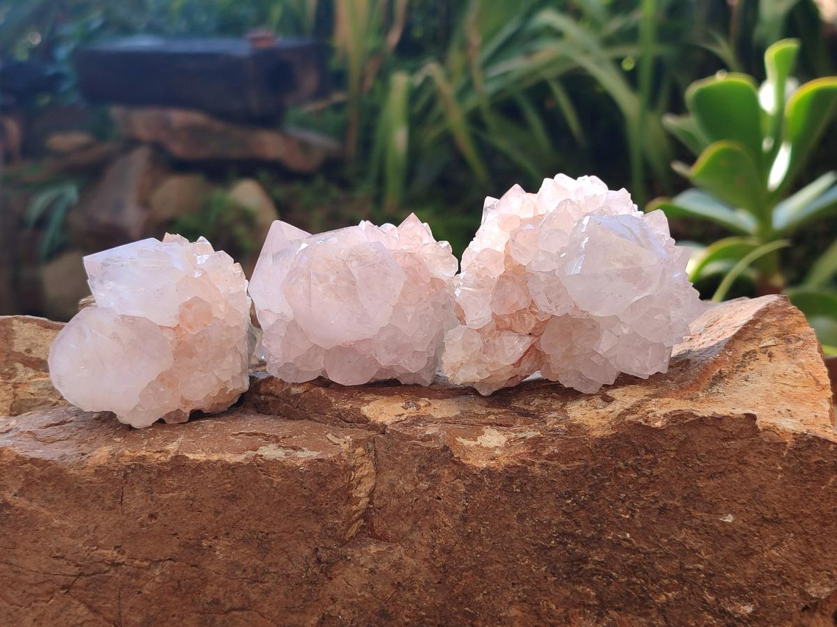 Natural Pale Lilac Cactus Flower Spirit Quartz Single Crystals x 12 From Boekenhouthoek, South Africa - Toprock Gemstones and Minerals 