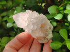 Natural Pale Lilac Cactus Flower Spirit Quartz Single Crystals x 12 From Boekenhouthoek, South Africa - Toprock Gemstones and Minerals 
