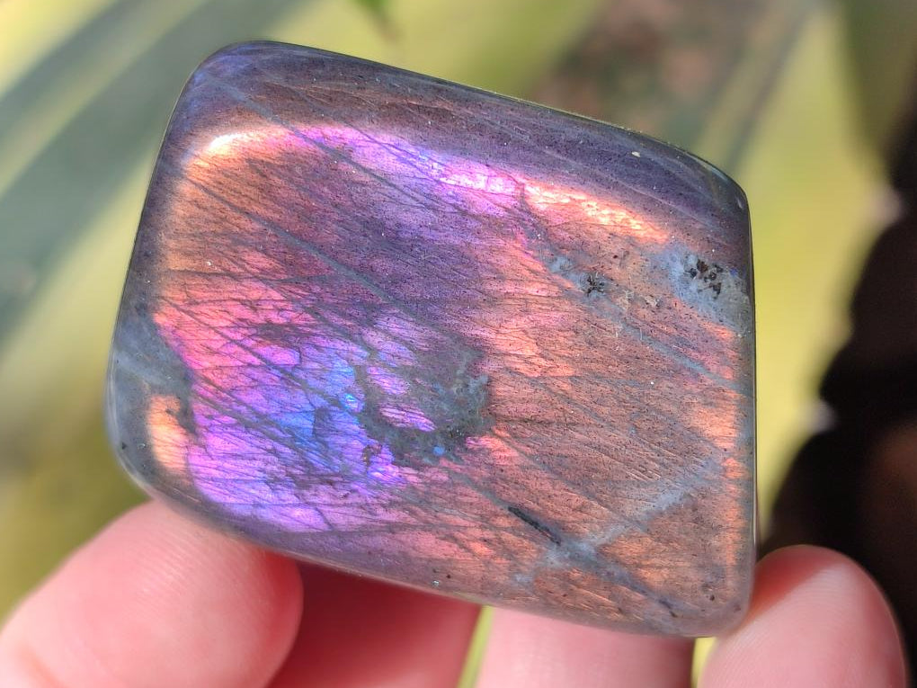 Polished Rare Purple Sunset Flash Labradorite Standing Free Forms x 12 From Madagascar - Toprock Gemstones and Minerals 
