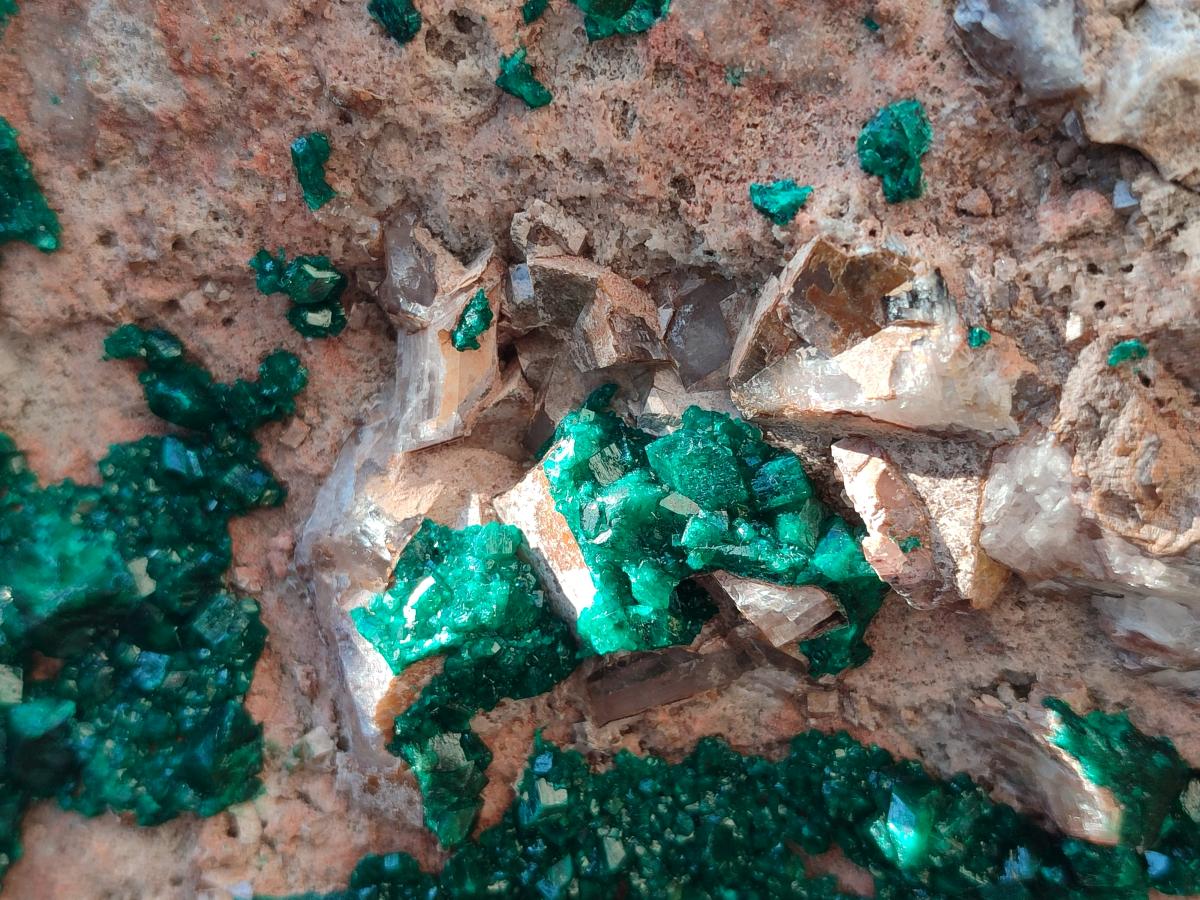 Natural XXL Dioptase on Dolomite Specimen x 1 From Likasi, Congo - Toprock Gemstones and Minerals 