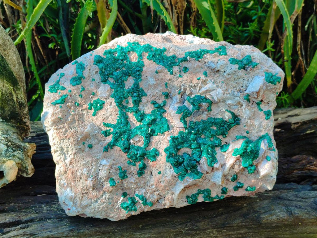 Natural XXL Dioptase on Dolomite Specimen x 1 From Likasi, Congo - Toprock Gemstones and Minerals 