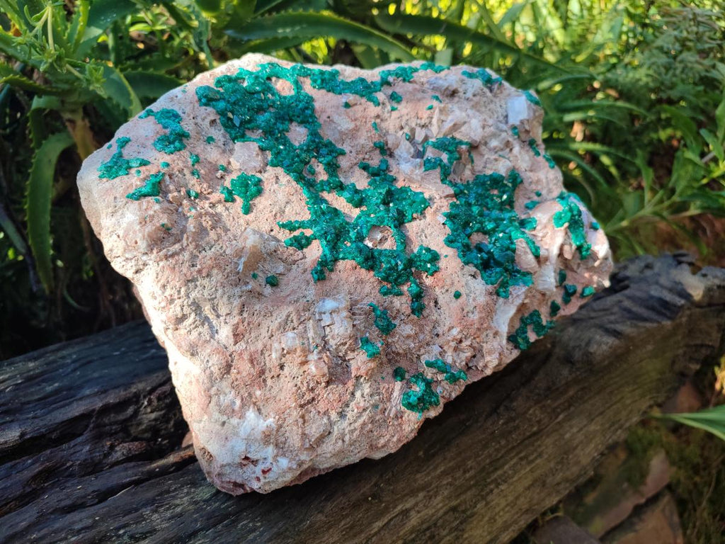 Natural XXL Dioptase on Dolomite Specimen x 1 From Likasi, Congo - Toprock Gemstones and Minerals 