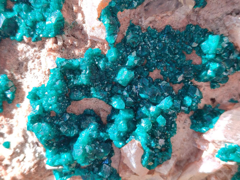 Natural XXL Dioptase on Dolomite Specimen x 1 From Likasi, Congo - Toprock Gemstones and Minerals 