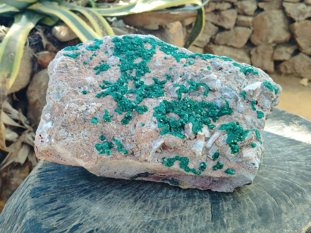 Natural XXL Dioptase on Dolomite Specimen x 1 From Likasi, Congo - Toprock Gemstones and Minerals 