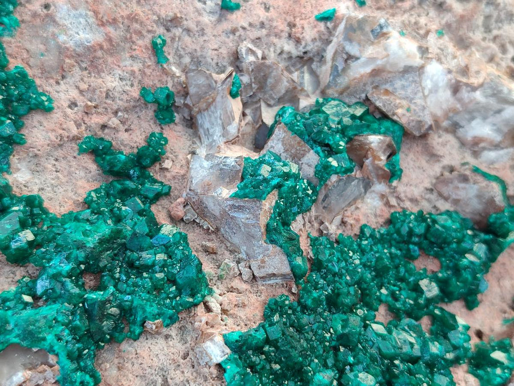 Natural XXL Dioptase on Dolomite Specimen x 1 From Likasi, Congo - Toprock Gemstones and Minerals 