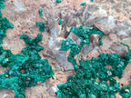 Natural XXL Dioptase on Dolomite Specimen x 1 From Likasi, Congo - Toprock Gemstones and Minerals 