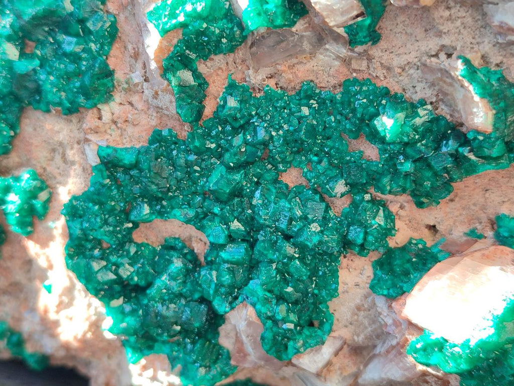 Natural XXL Dioptase on Dolomite Specimen x 1 From Likasi, Congo - Toprock Gemstones and Minerals 