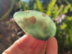 Polished Mtorolite Free Forms x 27 From Mutorashanga, Zimbabwe - Toprock Gemstones and Minerals 