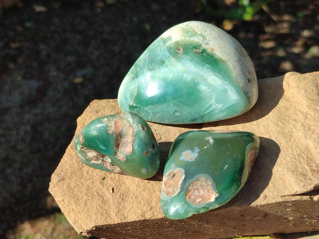Polished Mtorolite Free Forms x 27 From Mutorashanga, Zimbabwe - Toprock Gemstones and Minerals 