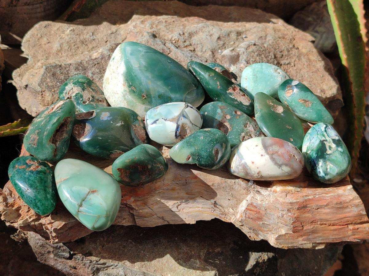 Polished Mtorolite Free Forms x 27 From Mutorashanga, Zimbabwe - Toprock Gemstones and Minerals 