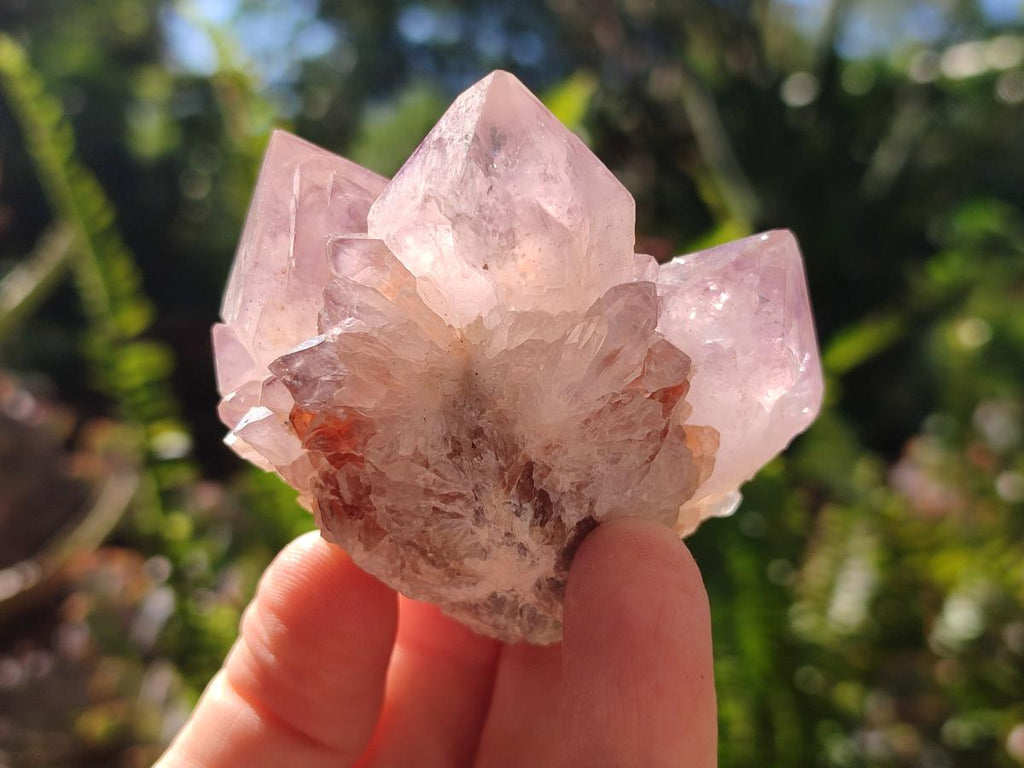 Natural Amethyst Spirit Quartz Clusters x 12 From Boekenhouthoek, South Africa - Toprock Gemstones and Minerals 