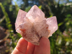 Natural Amethyst Spirit Quartz Clusters x 12 From Boekenhouthoek, South Africa - Toprock Gemstones and Minerals 