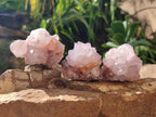 Natural Amethyst Spirit Quartz Clusters x 12 From Boekenhouthoek, South Africa - Toprock Gemstones and Minerals 