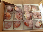 Natural Amethyst Spirit Quartz Clusters x 12 From Boekenhouthoek, South Africa - Toprock Gemstones and Minerals 