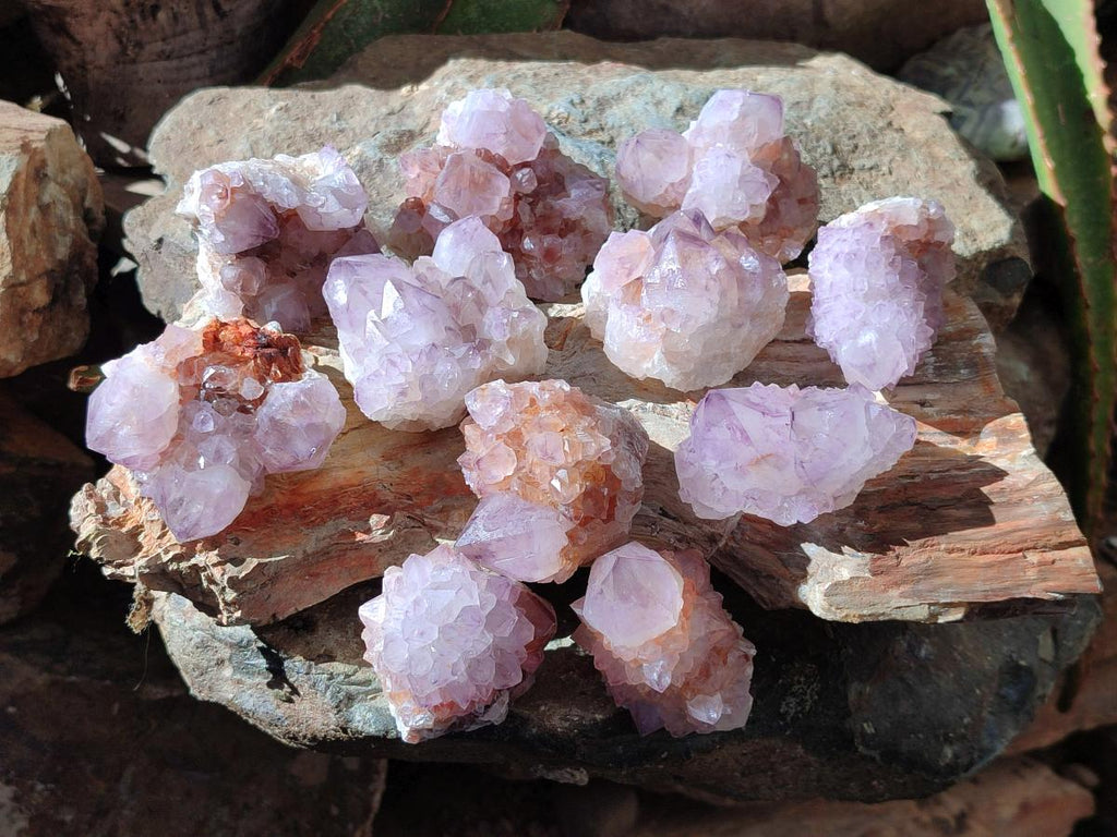 Natural Amethyst Spirit Quartz Clusters x 12 From Boekenhouthoek, South Africa - Toprock Gemstones and Minerals 