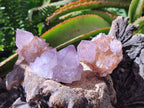 Natural Amethyst Spirit Quartz Clusters x 12 From Boekenhouthoek, South Africa - Toprock Gemstones and Minerals 