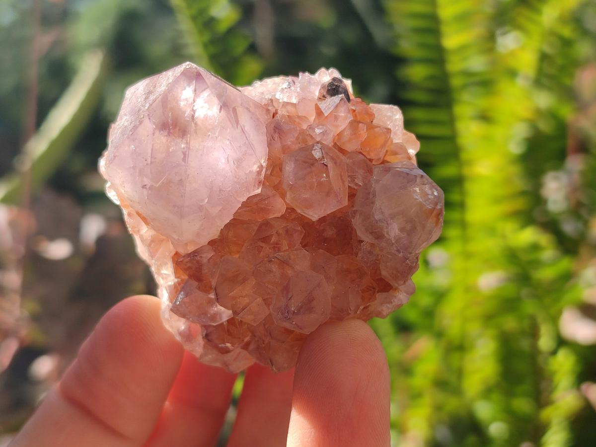 Natural Amethyst Spirit Quartz Clusters x 12 From Boekenhouthoek, South Africa - Toprock Gemstones and Minerals 