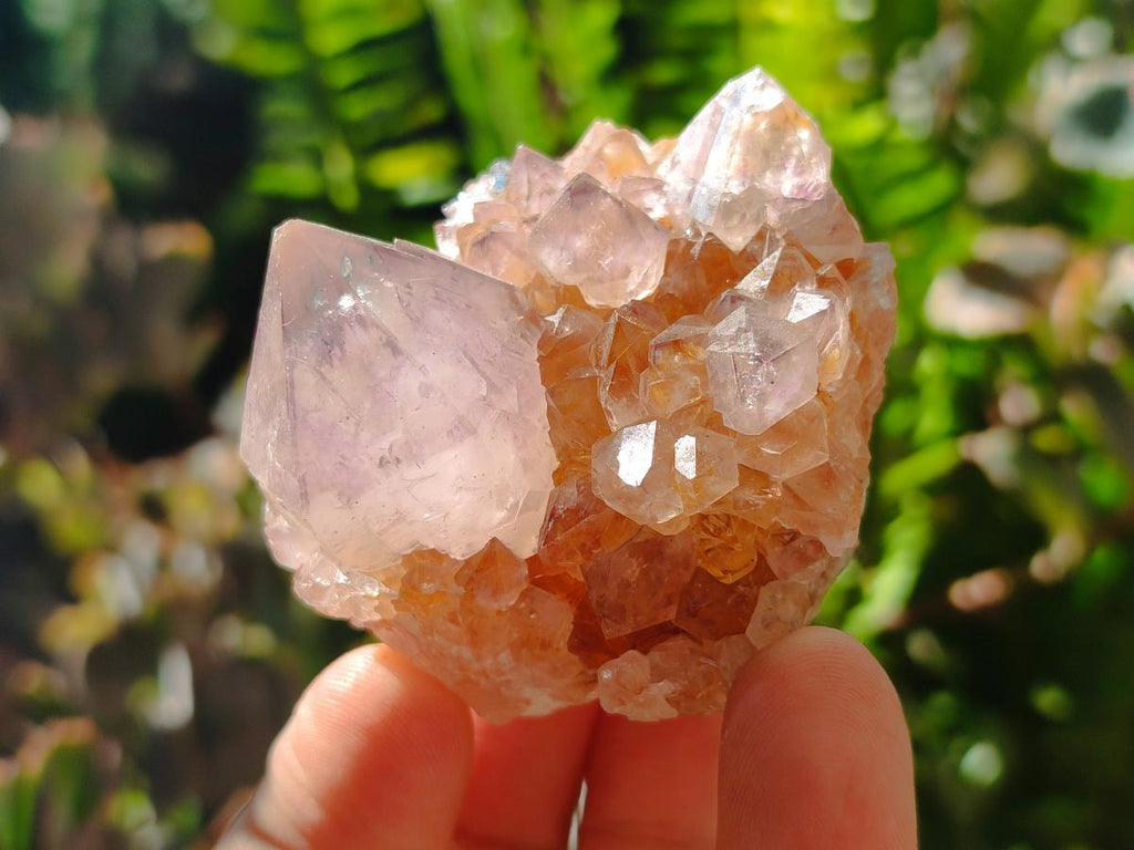 Natural Amethyst Spirit Quartz Clusters x 12 From Boekenhouthoek, South Africa - Toprock Gemstones and Minerals 