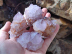 Natural Amethyst Spirit Quartz Clusters x 12 From Boekenhouthoek, South Africa - Toprock Gemstones and Minerals 