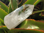 Polished Clear Quartz Dispaly Crystals x 3 From Madagascar - Toprock Gemstones and Minerals 