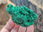 Natural Silky Malachite Specimens x 3 From Kasompe, Congo - Toprock Gemstones and Minerals 